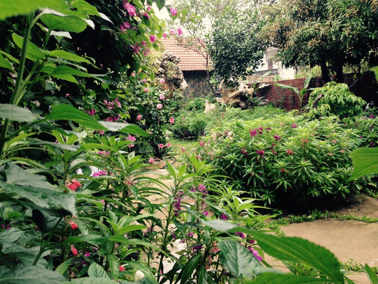 Mr. Viet Home Stay ニンビン エクステリア 写真
