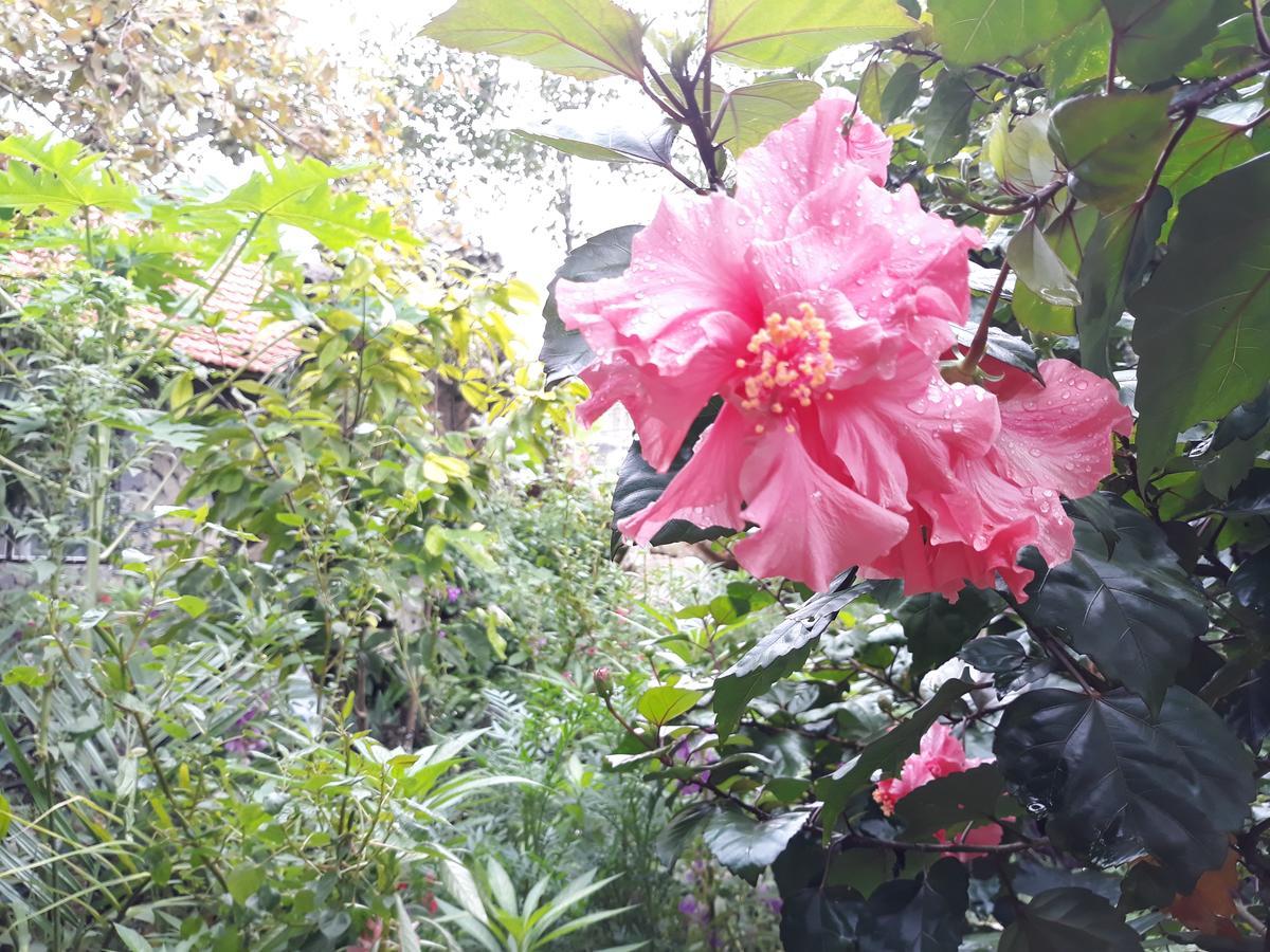 Mr. Viet Home Stay ニンビン エクステリア 写真