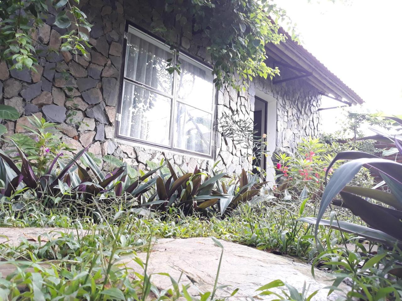 Mr. Viet Home Stay ニンビン エクステリア 写真