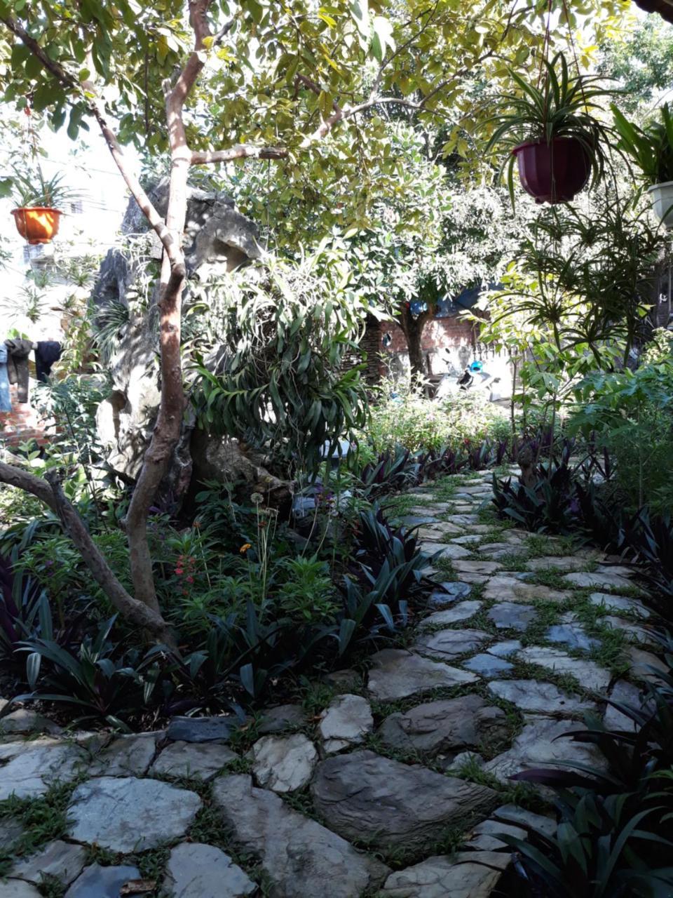 Mr. Viet Home Stay ニンビン エクステリア 写真