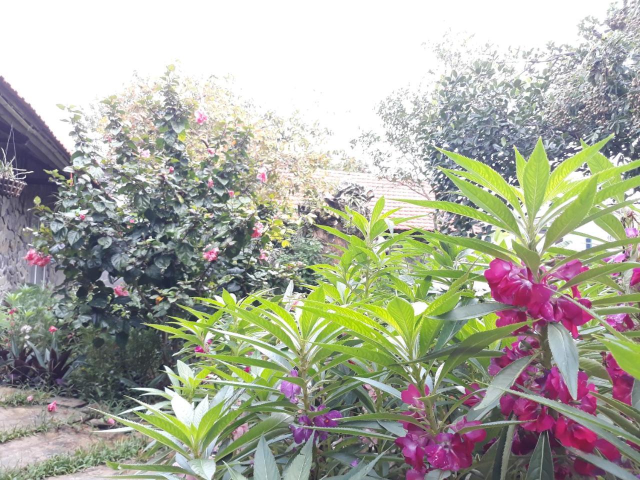 Mr. Viet Home Stay ニンビン エクステリア 写真
