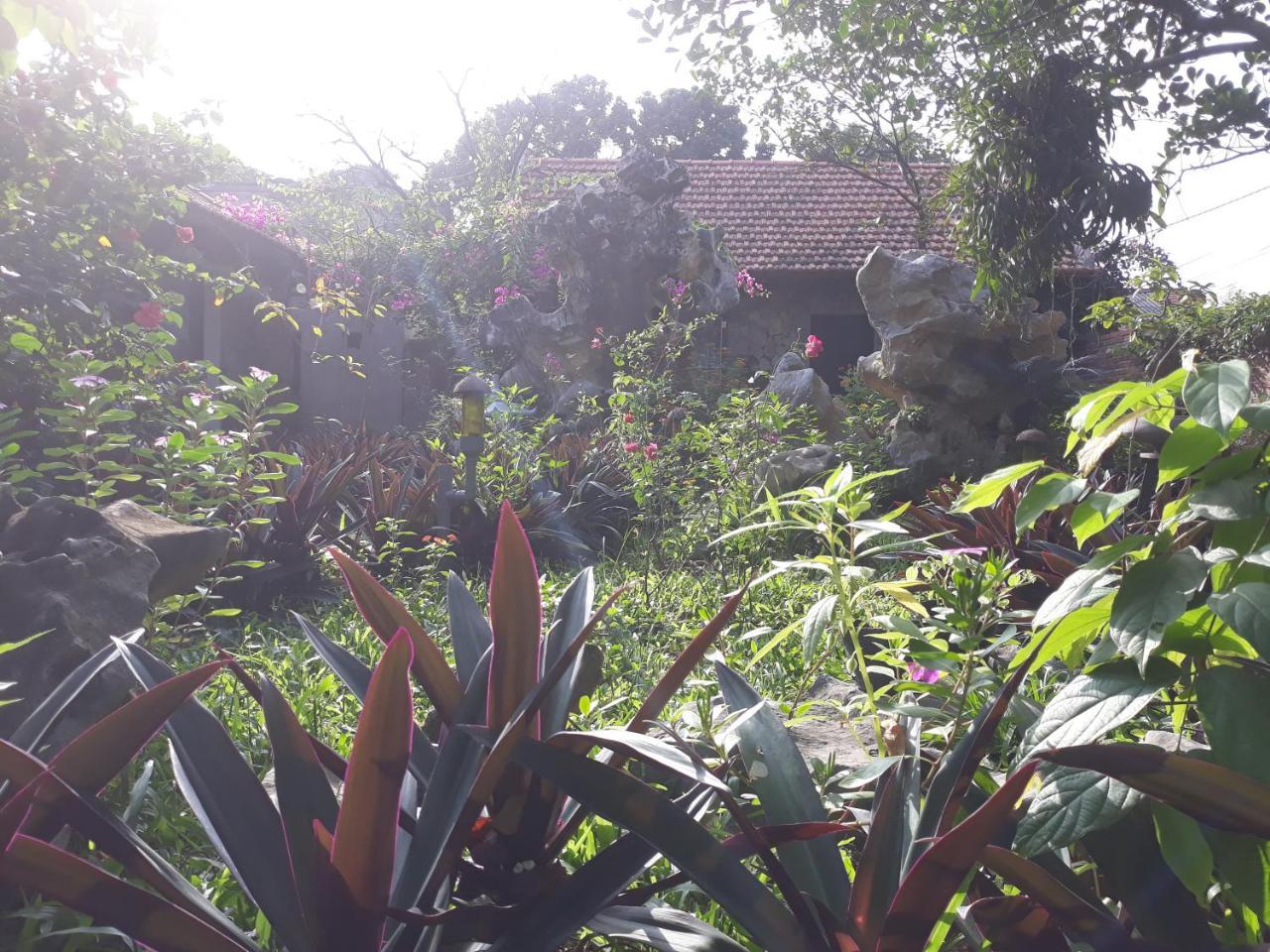 Mr. Viet Home Stay ニンビン エクステリア 写真