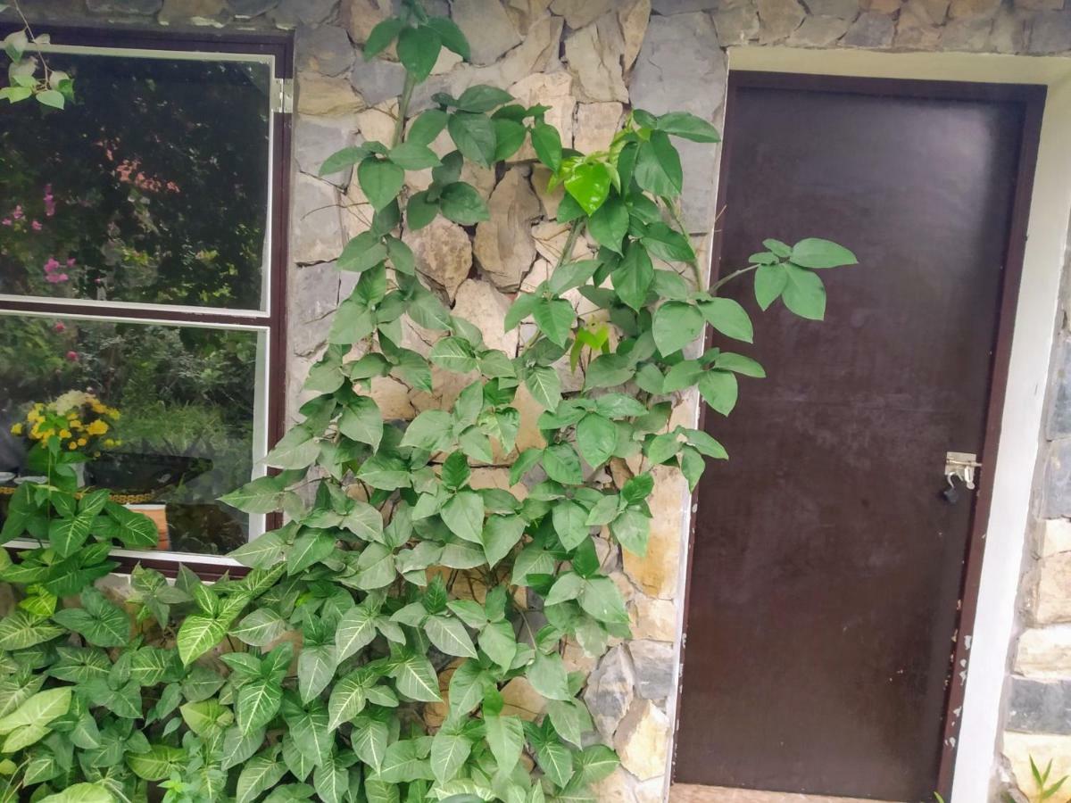 Mr. Viet Home Stay ニンビン エクステリア 写真