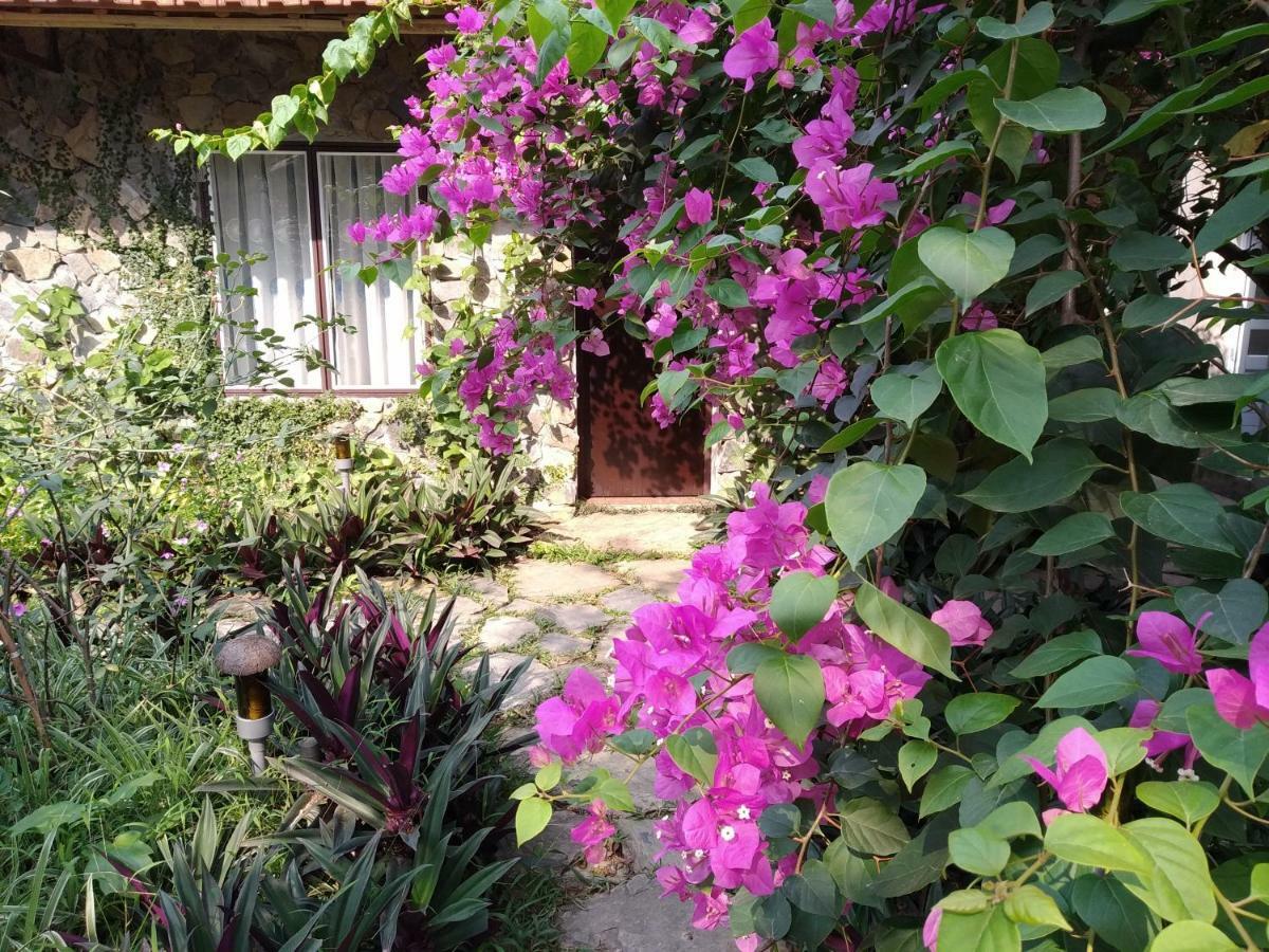 Mr. Viet Home Stay ニンビン エクステリア 写真